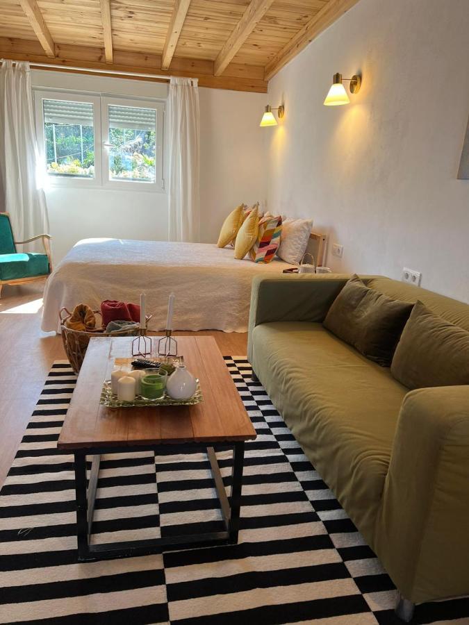 Casa Chano Estudio Confortable Tenerife Icod De Los Vinos Dış mekan fotoğraf