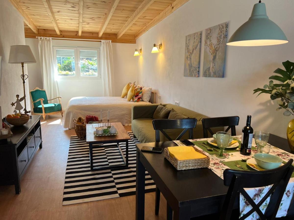 Casa Chano Estudio Confortable Tenerife Icod De Los Vinos Dış mekan fotoğraf