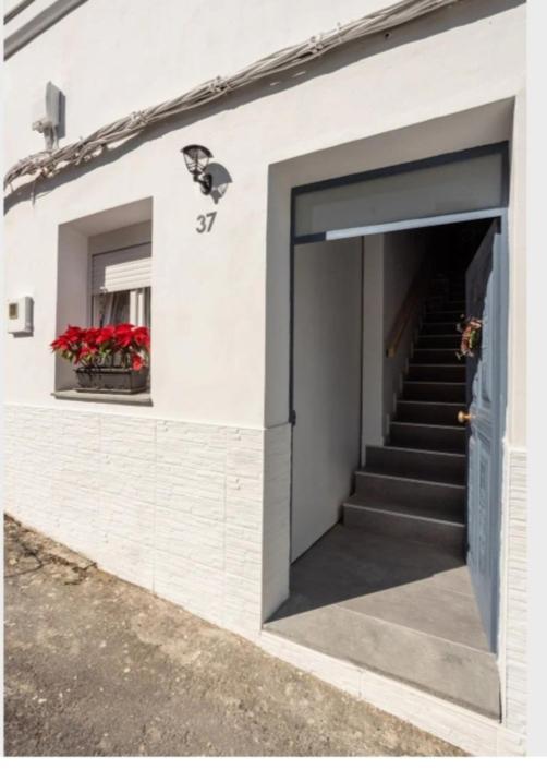 Casa Chano Estudio Confortable Tenerife Icod De Los Vinos Dış mekan fotoğraf